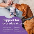 thumbnail image 3 of Veterinary Formula Smart Vitality Pet Calm Supplement for Dogs, Calming Without Sleepiness, 60 Chews, 3 of 8