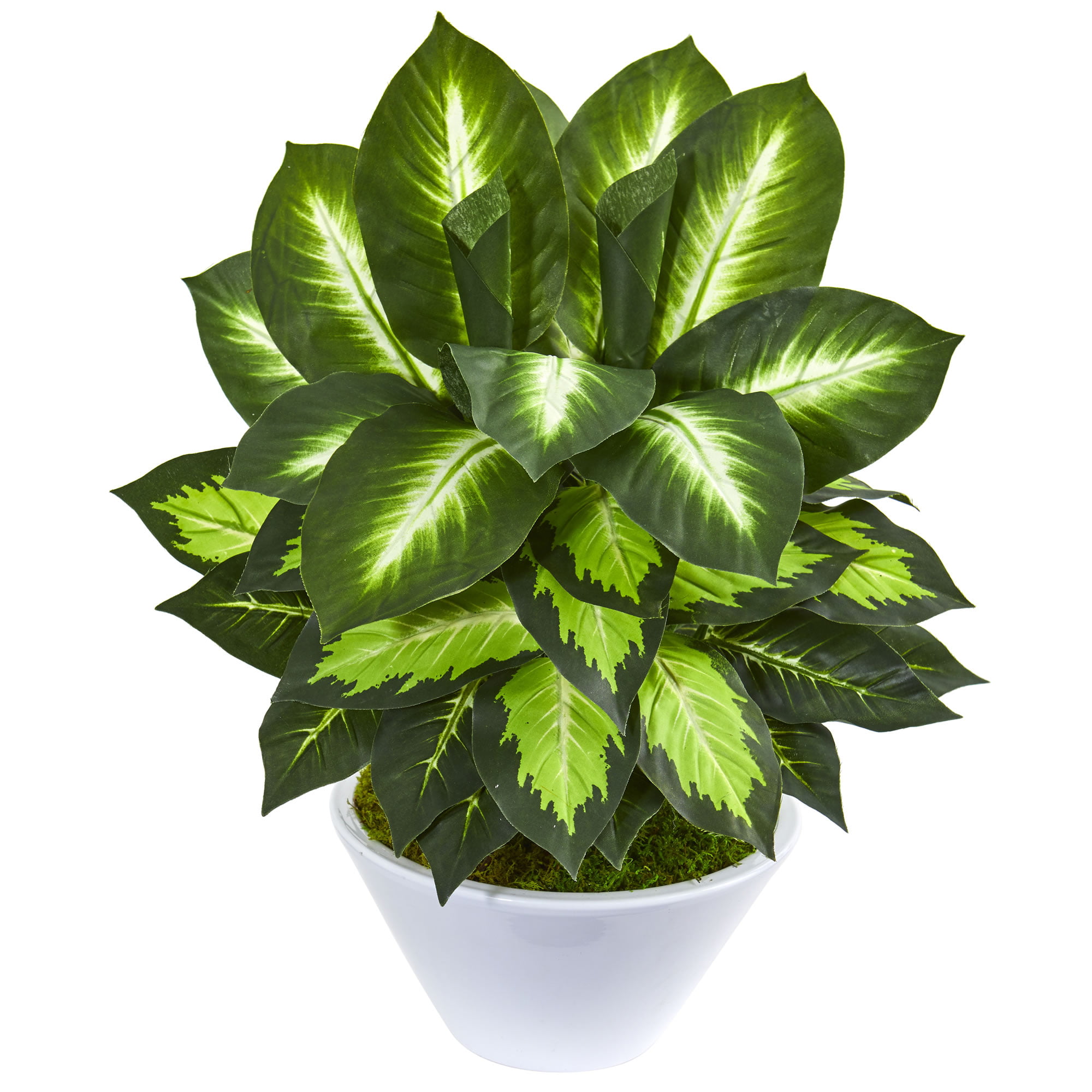 Triple Golden Dieffenbachia with Wood Vase Green Nearly Natural 6720 22in 