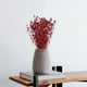 thumbnail image 5 of Tallos de Bayas Artificiales Macarena Falsas Rojo, 5 of 7