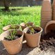 thumbnail image 5 of Ollas biodegradables de 100 piezas, olla de plántulas biodegradable, macetas de fibra sin turba, taza de siembra biodegradable, 8cm, redonda, herramientas de jardinería para el hogar Feliz Sencillez, 5 of 5