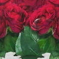 thumbnail image 4 of Coolnut Dog with A Bouquet of Red Roses Bath Shower Curtain Liners 72"x72", 100% Polyester Waterproof with C-Shaped Curtain Hook Modern Bathroom Decoration 1 Panel, 4 of 5