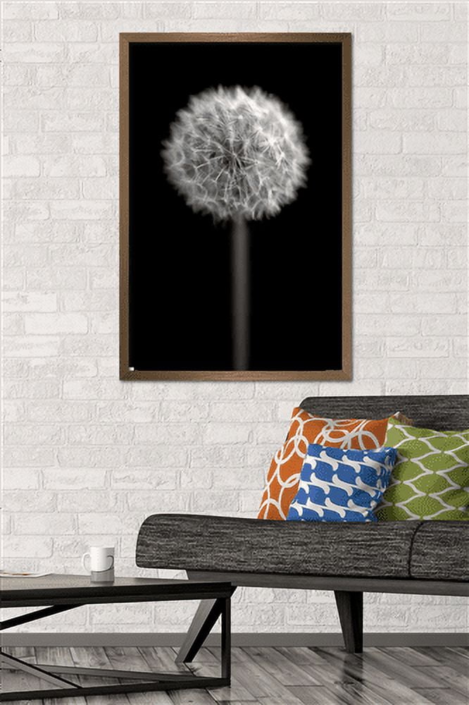 Tom Quartermaine - Black and White Dandelion Wall Poster, 22.375" x 34", Framed