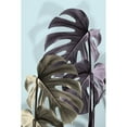 thumbnail image 2 of Artographie Studio 11x14 Black Modern Framed Museum Art Print Titled - Monstera Blue 02, 2 of 4