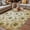 Brown, variant on Vintage Palm Trees Outdoor Rug for Patio/Deck/Porch, Non-Slip Large Area Rug 5 x 7 Ft, Summer Botanical Retro Watercolor Indoor Outdoor Rugs Washable Area Rugs, Reversible Camping Rug Carpet Runner
