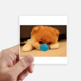 thumbnail image 1 of Máscaras perezosas Caritas de mascota Adhesivo Cuadrado Impermeable Papel Tapiz Calcomanía Coche Unbranded 10cm x 10cm 8 pcs, 1 of 1
