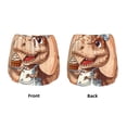 thumbnail image 3 of Vsdgher Dinosaur Baking Delight Athletic Shorts for Women, Women's Running Double Layer Shorts, High Waisted Yoga Shorts, Workout Athletic Shorts-Small, 3 of 7