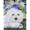 thumbnail image 1 of Cotton De Tulear Flag - Garden Size, 1 of 1