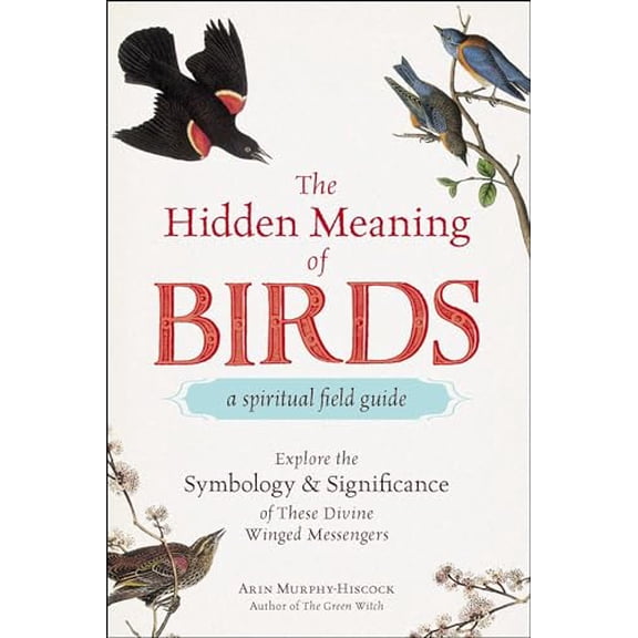 Pre-Owned The Hidden Meaning of Birds--A Spiritual Field Guide: Explore the Symbology and Significance of These Divine Winged Messengers, 9781507210260, 1507210264, Paperback,