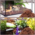 thumbnail image 4 of 8 Pack Compressed Coconut Fiber Substrate - 100% Organic Coconut Fiber Brick Bedding for Reptiles, Natural Coco Husk Substrate Terrarium Bedding for Snake, Hermit Crabs, Frogs, Tortoise, Gecko, 4 of 7