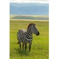 thumbnail image 2 of Jaynes Gallery 17x24 White Modern Wood Framed Museum Art Print Titled - Africa-Tanzania-Ngorongoro Crater Plains zebra in field, 2 of 4