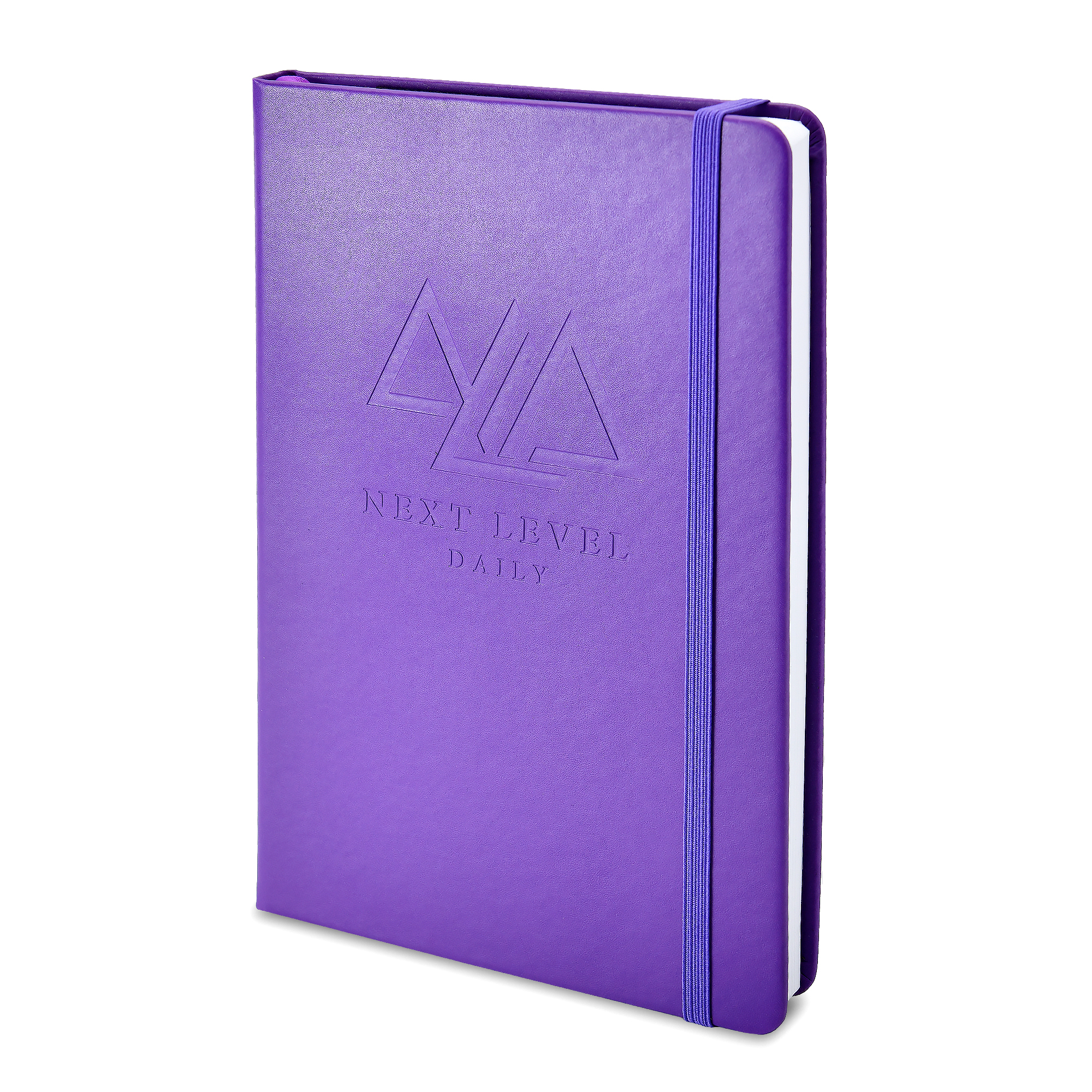 Next Level Daily Planner | High Performance Daily Action Planner for Productivity, Happiness, Time Management | Habit Tracker, Gratitude Journal – Undated, Hardcover (Purple)