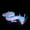 yeJB, variant on Glowing at Night 3D Printed dragon,Flexible Joint Animal lacertid Figurines,Realistic Eyes, Home Office Decor,Fidget Toy for Adults Teens Boy Festival Gifts