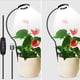 thumbnail image 3 of Lámpara de cultivo de plantas Chicmine de espectro completo con cuello de cisne de 360 grados, luz LED regulable con clip y alto brillo para cultivo de flores., 3 of 8