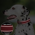 thumbnail image 4 of Collar de perro PetiFine Heavy Duty con hebilla de metal para perros pequeños, 4 of 7