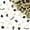 Gold, variant on Graduation Confetti 100 Pcs, Red Blue Gold Silver Mix, Class of Grad Table Scatter Centerpieces for Graduation Party Decorations Supplies