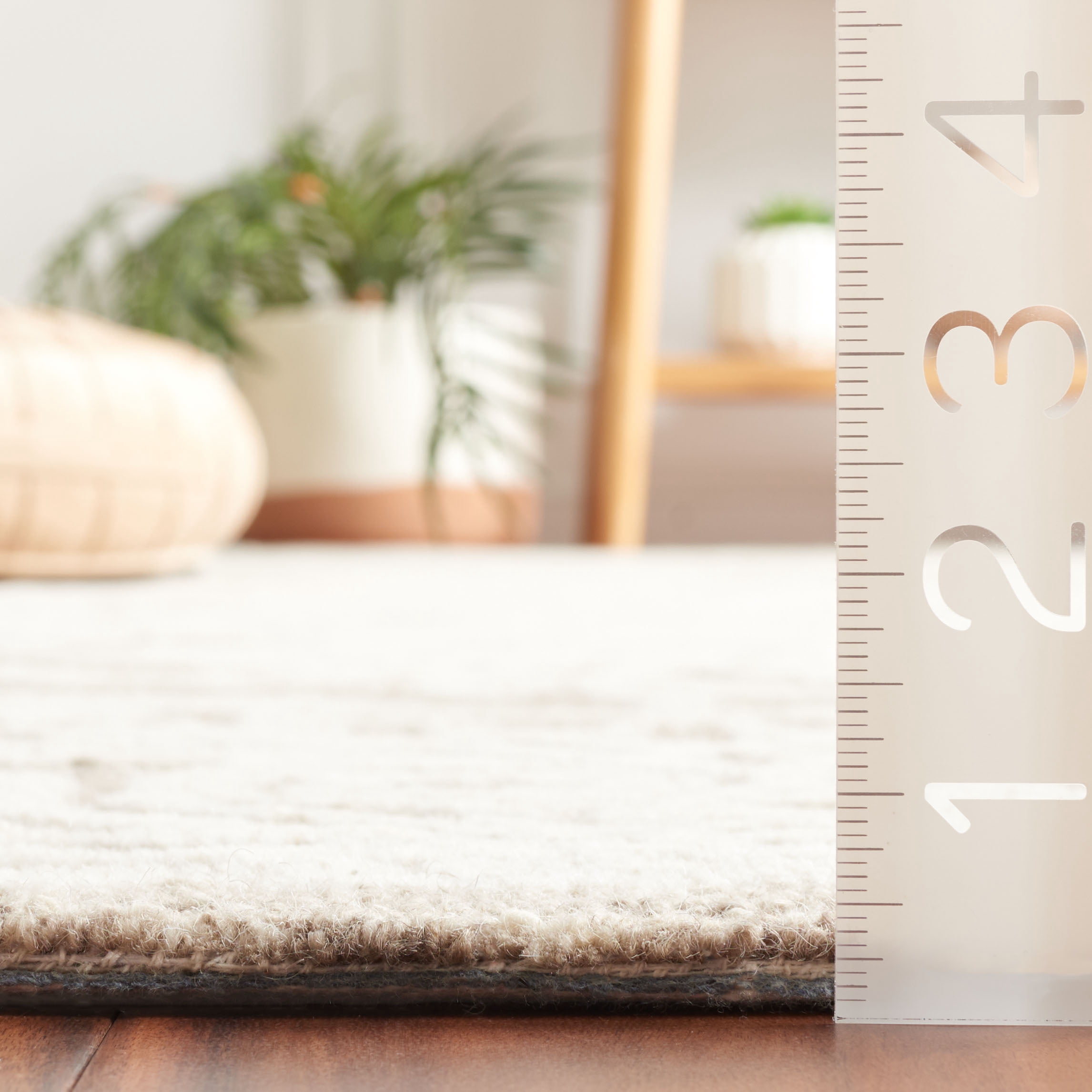 SAFAVIEH Ebony Ailin Traditional Area Rug, Ivory/Dark Grey, 8' x 10'