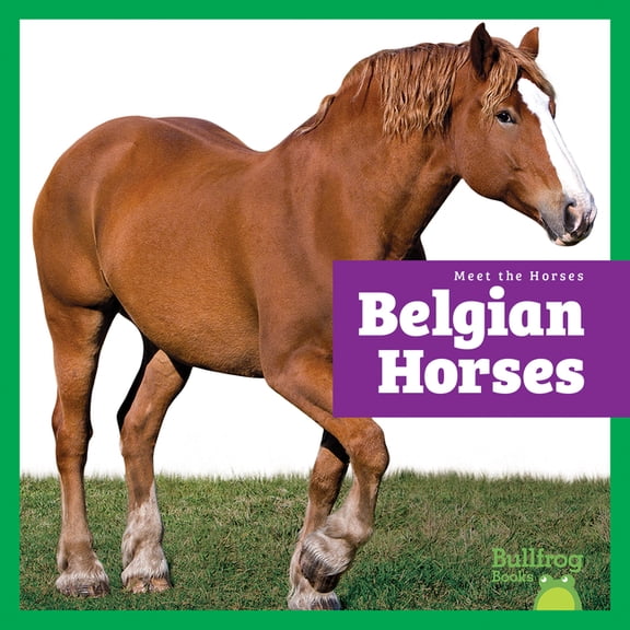 Meet the Horses Belgian Horses, (Paperback)