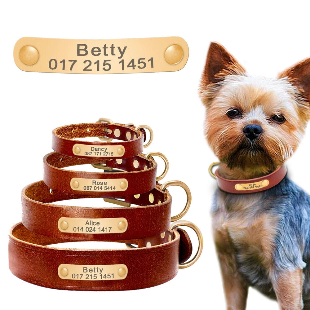Didog Real Leather Personalized Dog Collar with Custom Name ID Tag for Small to Large Dogs