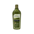 thumbnail image 1 of DALAN D'OLIVE Shampooing Nourrissant 400ml Antipelliculaire 6/paquet, 1 of 1