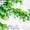 Color 3, variant on Peel and Stick Wallpaper Realistic Green Foliage Cracked Whitewashed Bricks Wall Mural 17.7in x 9.8ft Self Adhesive Removable Wall Paper Renter Friendly Wallpaper for Bedroom Cabinets