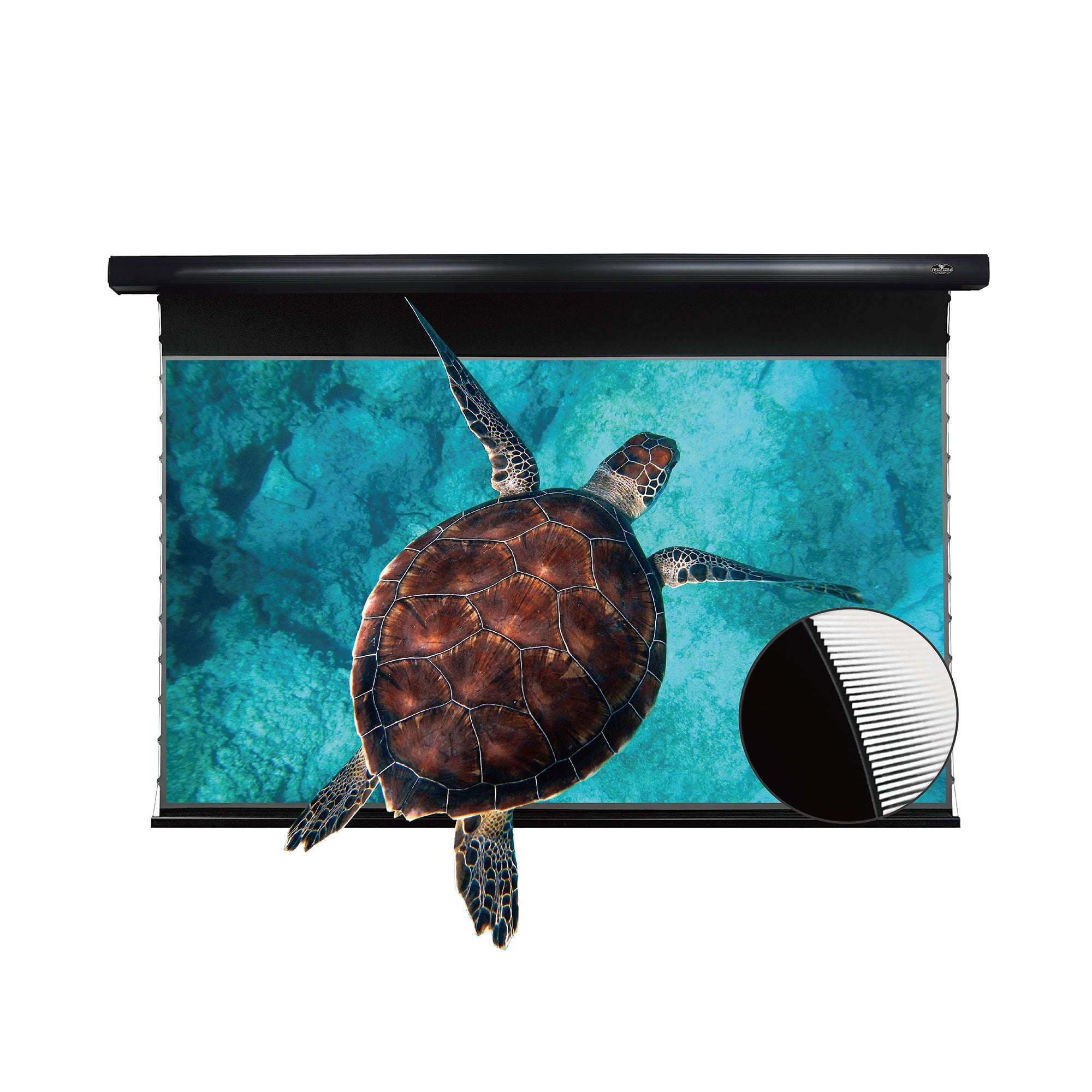 PRO Slimline Tension Screen With UST ALR(Ultra Short Throw Ambient