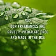 thumbnail image 5 of P&J Fragrance Oil | Spa Set of 6 - Scented Oil for Soap Making, Diffusers, Candle Making, Lotions, Haircare, Slime, and Home Fragrance, 5 of 6