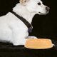 thumbnail image 4 of unbranded Para Mascotas Con Práctico Y Superficie Fácil De Limpiar Color Amarillo, 4 of 8