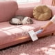 thumbnail image 5 of Cepillo para quitar el pelo de mascotas, cepillo para gatos, cepillo de doble cara para el hogar, limpiador de pelo de gatos, removedor de pelo de alfombras, raspador de pelo, cepillo de plástico, 5 of 6