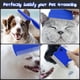 thumbnail image 4 of Juego de 3 peines antipulgas para perros, gatos y perros, peine de dientes finos para eliminar pelos sueltos, marcas de LSD, garrapatas y herramientas para eliminar insectos., 4 of 5