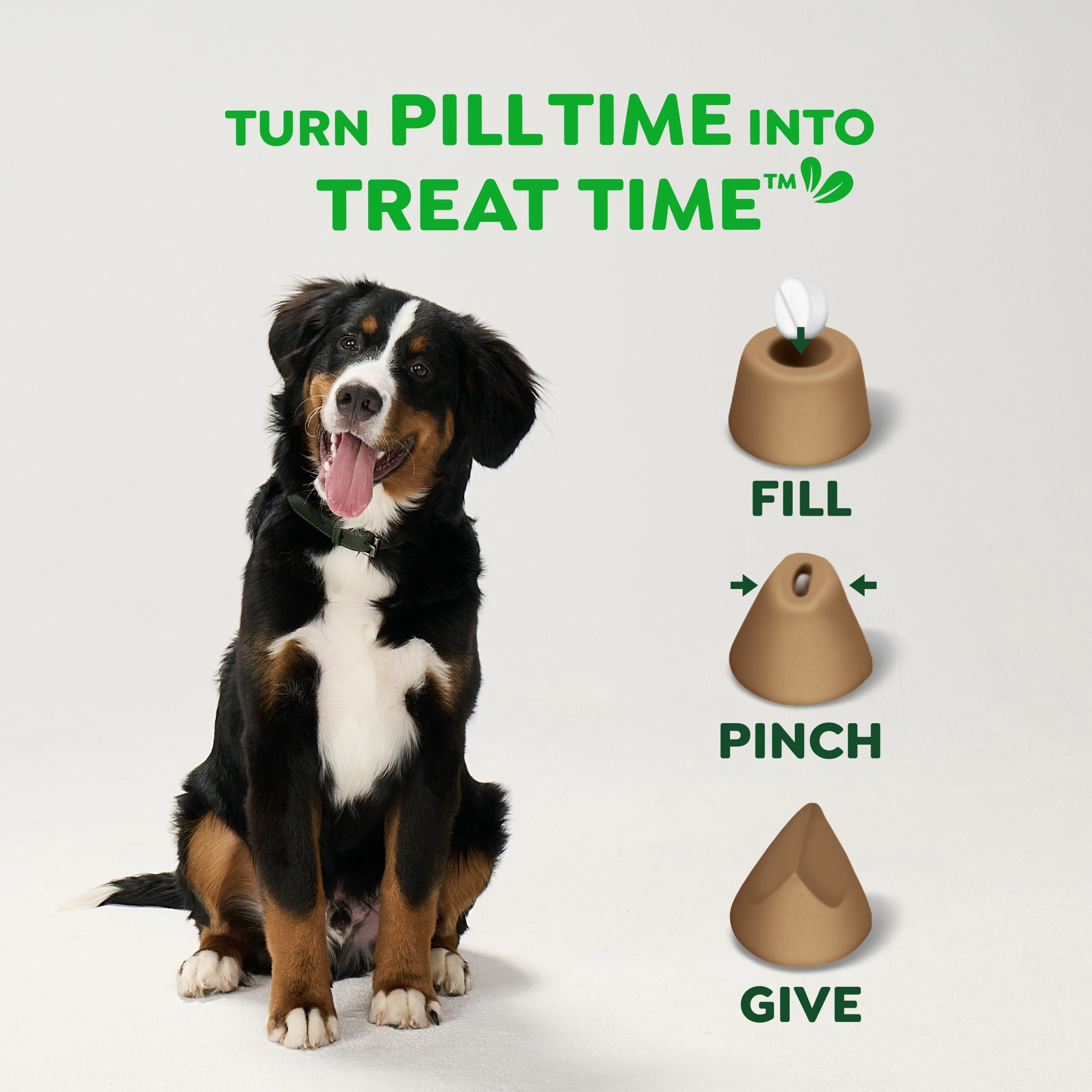 Greenies Pill Pockets for Dogs Chicken Flavor Small Size Soft Dog Treats, 3.2 oz Pouch