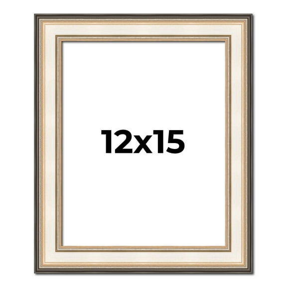12x15 Frame Gold Silver Plein Aire 2" Inch Wide Moulding Solid Wood Picture Frame | Modena