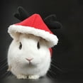 thumbnail image 6 of SPRING PARK Bunny Costumes - Cute Guinea Pig Clothes Soft Bunny Vest Cozy Cape with Leash for Guinea Pig Ferret Bunny Kitten and Other Small Animals for Christmas, 6 of 7