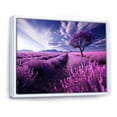 thumbnail image 2 of Designart "France Lavender landscapes Euphony" Floral Floater Framed Canvas Print, 2 of 7