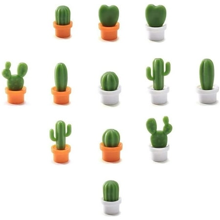Decorative Refrigerator Magnets, Perfect Fridge Magnets for House Office  Personal Use (12Pcs Cactus) 