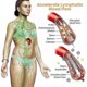 thumbnail image 3 of Biancat ProstaPower Magnetic Wristband, Magnetic Band & Bracelet for Men Women, 3 of 3