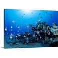 thumbnail image 1 of Great BIG Canvas | "Hawaiian Reef Scene With Pennant Fish (Heniochus Diphreutes)" Canvas Wall Art - 36x24, 1 of 2