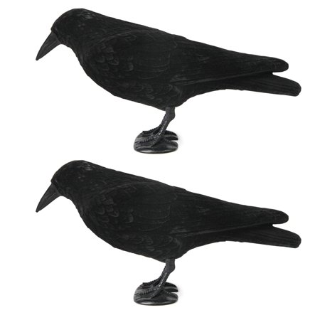 2Pcs Crow Decoy Crows Simulation Plastic Attracting Hunting Crops Statue Realistic Artificial Standing Bait Decoys Decoration Feet Stake Rod for Crow Decoy Call Decor Yard Garden Outdoor Backyard