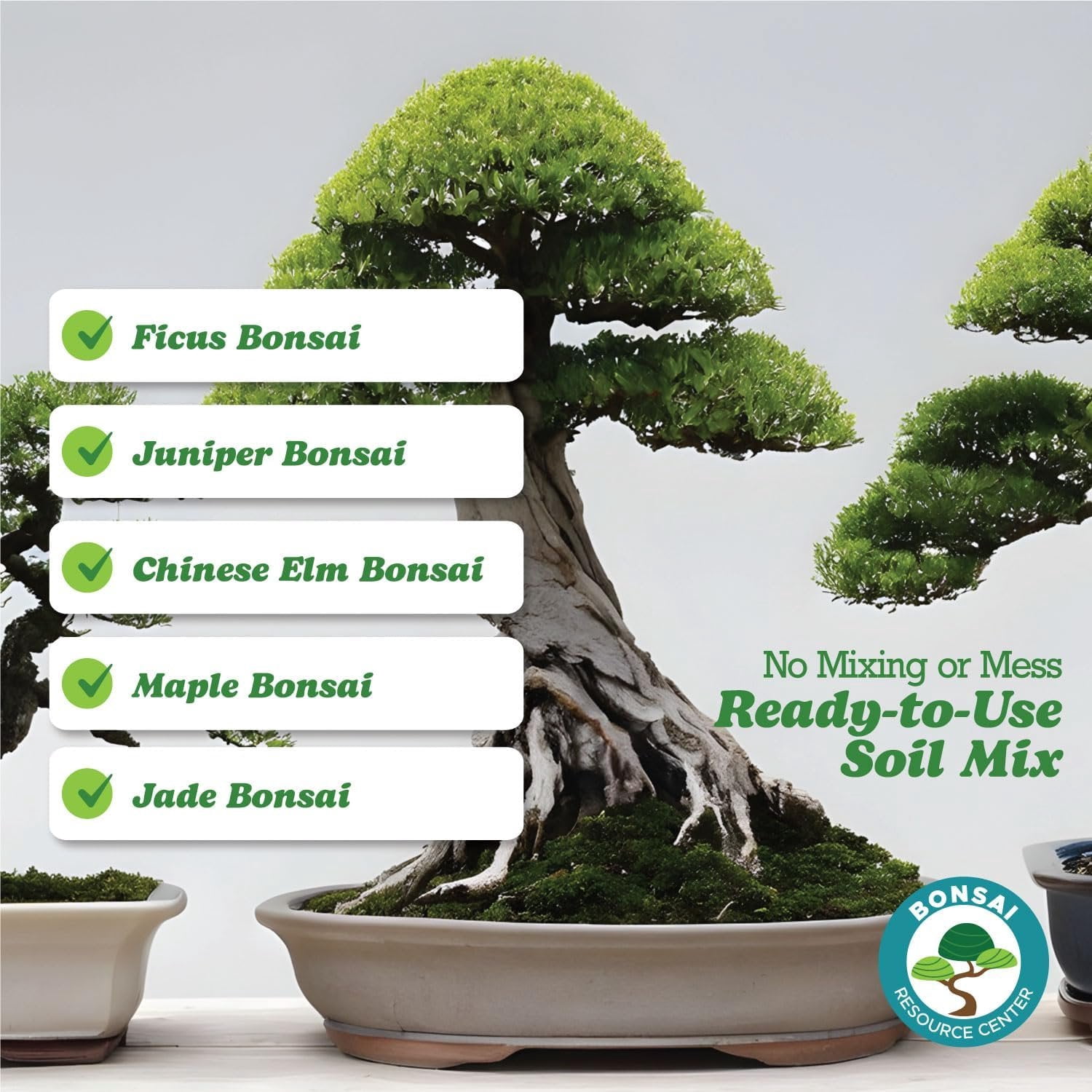 Bonsai Soil Mix, Ready to Use - Bonsai Potting Soil - Great Drainage, Soil - Soil Can Also Be Used for Succulent, Cactus, Money Tree - Akadama Soil - Pumice for Plants