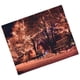thumbnail image 5 of Christmas Decoration Tapestry, Fireplace Tapestry Wall Hanging Light For Holiday Decoration For Tablecloth For Photography Background For Family Dormitory ANGGREK CJ3115, 5 of 8