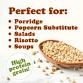 thumbnail image 2 of Organic Italian White Whole Grain Sorghum, 1 Pound — Non-GMO, Raw, Vegan — by Food to Live, 2 of 8