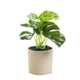thumbnail image 1 of Decoración del hogar plantas en macetas-plantas verdes artificiales, 1 of 5