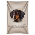 thumbnail image 1 of Black and Tan Dachshund Wiener Dog Breed Home Business Office Sign, 1 of 4