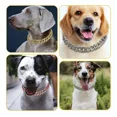 thumbnail image 3 of Collar De Perro Cadena Dorada Con Brillo,collar De Diamantes, 3 of 6