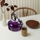 thumbnail image 3 of WORGEOUS Hervidor de acero inoxidable Pot de agua para el agua Hervidor de agua Whistling Have para el hogar (3L), 3 of 8