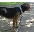 thumbnail image 3 of Country Brook Petz - Vintage Roses Dog Leash - Floral Collection with 8 Charming Designs (6 Foot, 5/8 inch Wide), 3 of 5