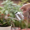 thumbnail image 5 of Long   Stainless Steel Watering Can, Mini Garden Watering Pot with Comfortable Handle for Indoor Plants, 5 of 6