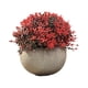 thumbnail image 1 of Toystoory Adorno Árbol de bonsái Ecológico Realista Respetuoso con la piel Frescura ABS Plantas artificiales en maceta Decoración JH3423, 1 of 6