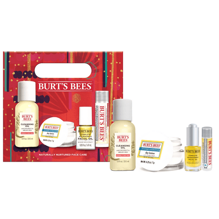 ($15 Value) Burt's Bees Naturally Nurtured Skin Care Holiday Gift Set, 4 Mini