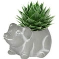 thumbnail image 2 of Classic Home and Garden Cement Buddies Indoor/Outdoor Planter with Drainage Hole, Piglet, Natural Gray, 6.5", 2 of 3