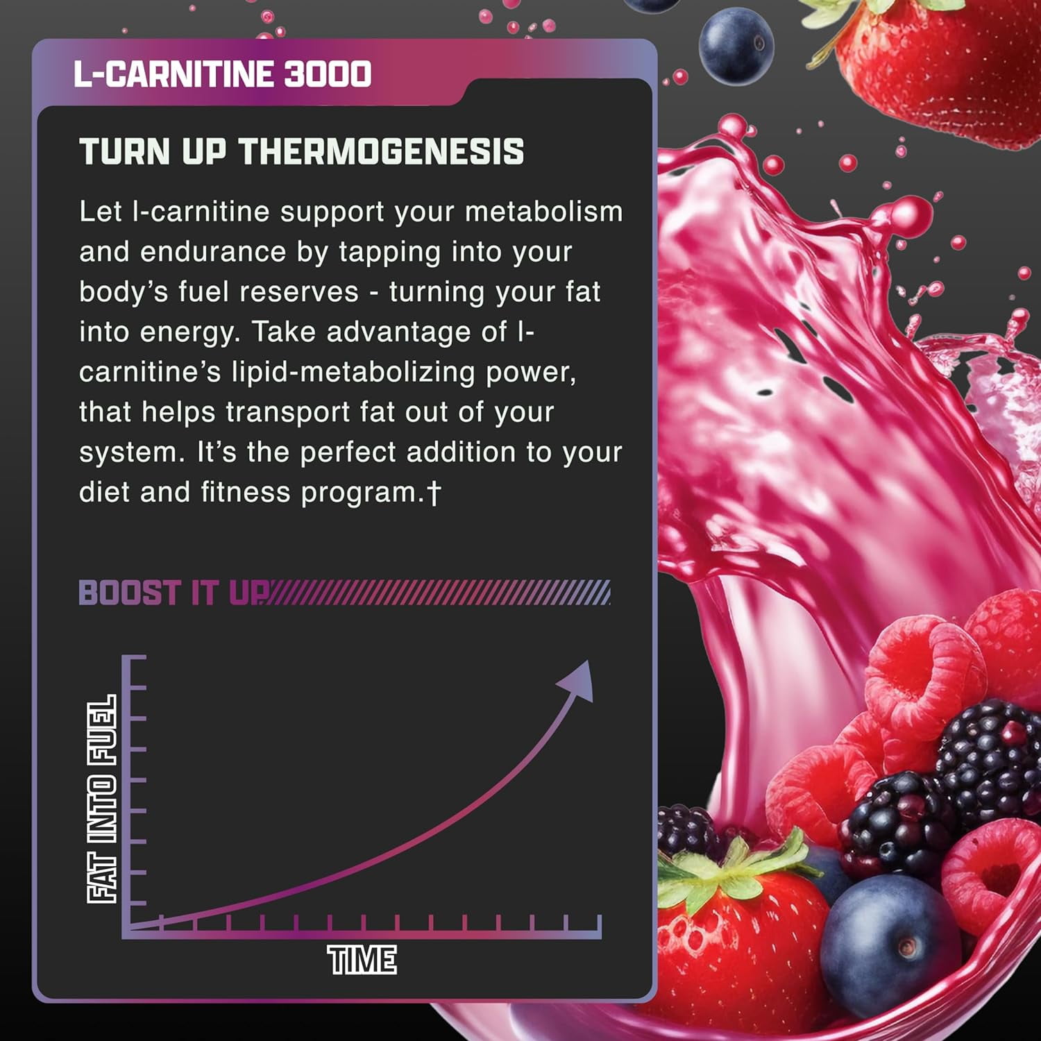 Nutrex Research L-Carnitine 3000 | Premium L Puerto Rico | Ubuy Nutrex Research L-Carnitine 3000 | Premium L Puerto Rico | Ubuy